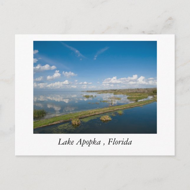 Carte Postale Lac Apopka, Floride (Devant)