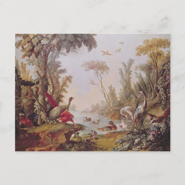 Carte Postale Lac aux oies, cigognes, perroquets et hérons (Devant)