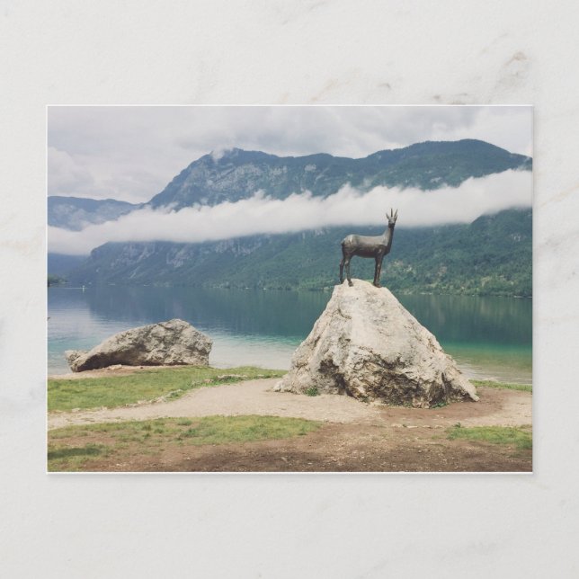 Carte Postale Lac Bohinj, Slovénie Zlatorog Photo (Devant)
