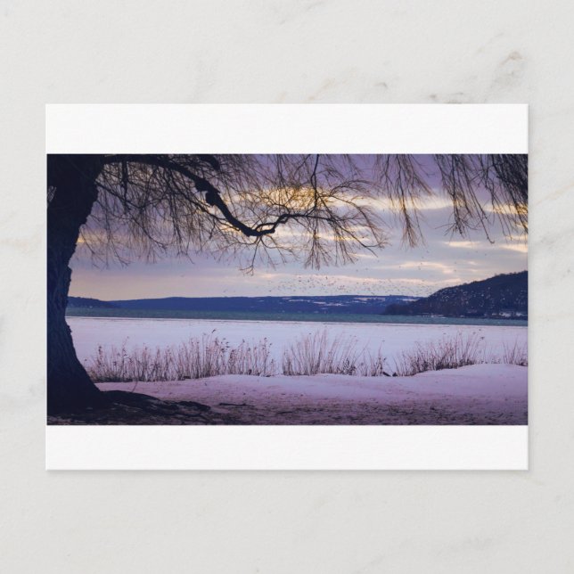 Carte Postale Lac Cayuga / Ithaca (Devant)