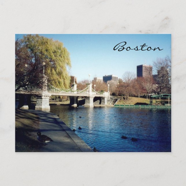 Carte Postale lac commun de boston (Devant)