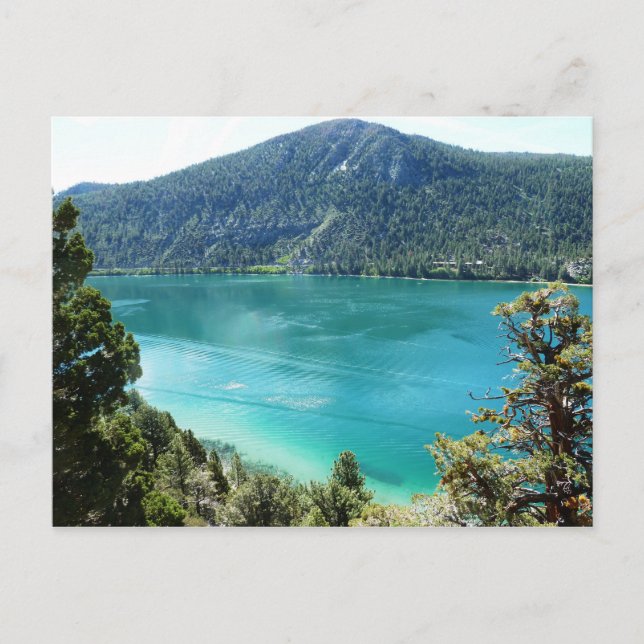 Carte Postale Lac de juin (Devant)