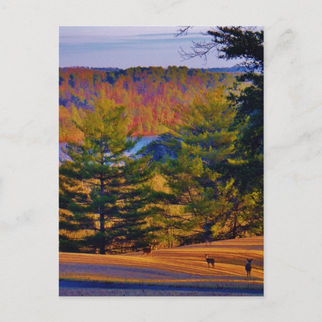 Carte Postale Lac Deer & Mt (Devant)