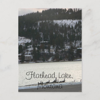 Carte Postale Lac Flathead, Montana