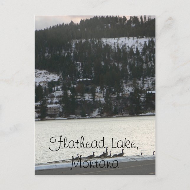 Carte Postale Lac Flathead, Montana (Devant)