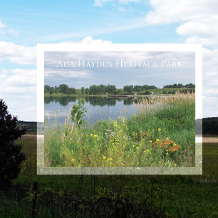 Carte Postale Lac, Fleurs, Ada Hayden Heritage Park, Ames, IA