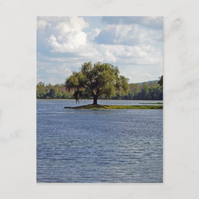 Carte Postale Lac Iron Mountain (Devant)