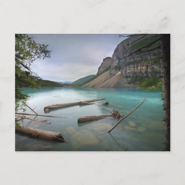 Carte Postale Lac Moraine (Devant)