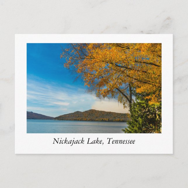 Carte Postale Lac Nickajack Tennessee (Devant)