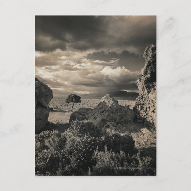 Carte Postale Lac Pyramide, Nevada 2 (Devant)