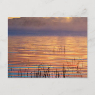 Carte Postale Lac Racquette Montagnes Adirondack, New York