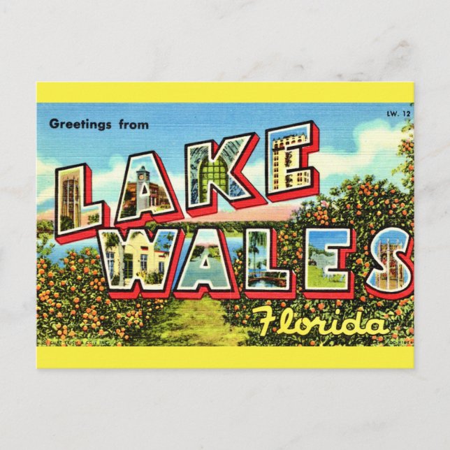 Carte Postale Lac Retro Wales Floride (Devant)