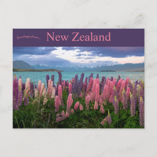 Carte Postale Lac Tekapo Nouvelle-Zélande