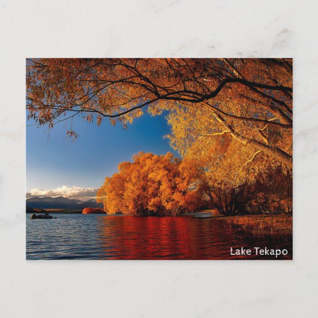Carte Postale Lac Tepako, Nouvelle-Zélande (Devant)