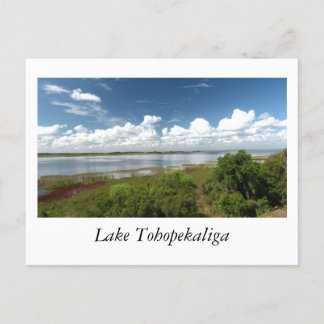 Carte Postale Lac Tohopekaliga Floride