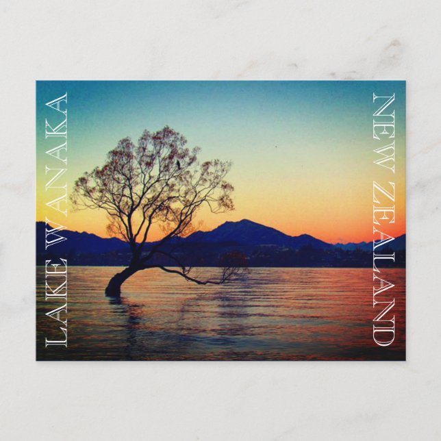 Carte Postale lac wanaka (Devant)