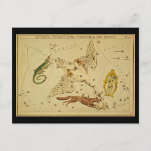 Carte Postale Lacerta, Cygnus, Lyra, Vulpecula et Anser