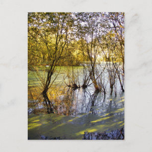 CARTE POSTALE LACS