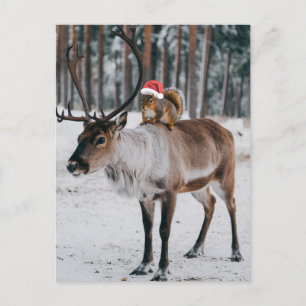 Carte Postale L'adorable écureuil de Père Noël et le renne