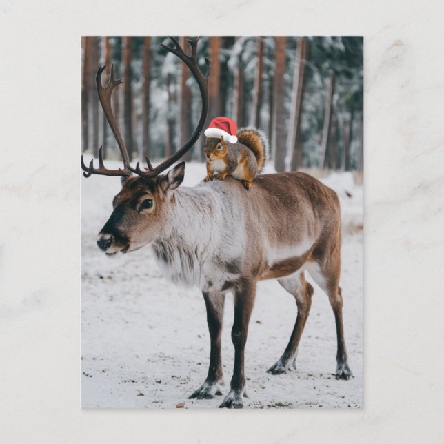 Carte Postale L'adorable écureuil de Père Noël et le renne (Devant)