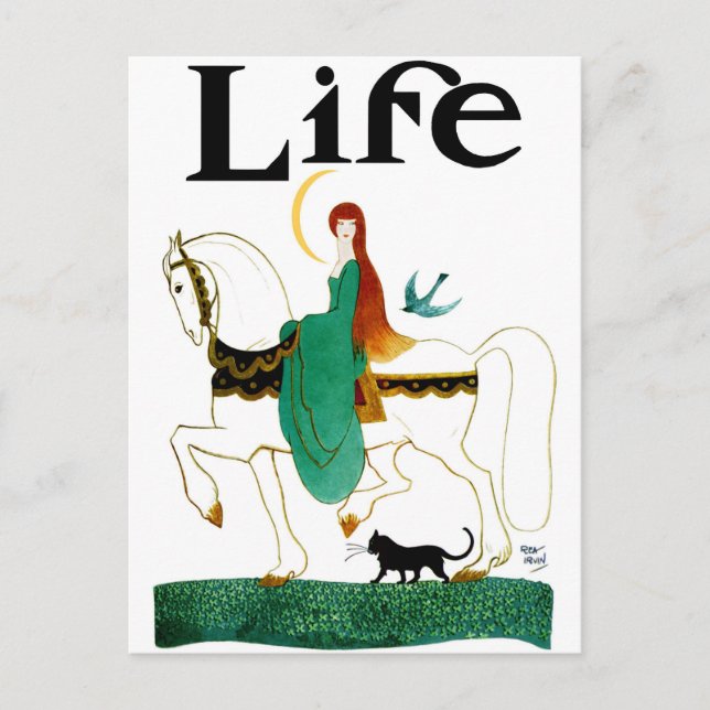 CARTE POSTALE "LADY LUCK", CHEVAL D'ÉQUITATION (Devant)