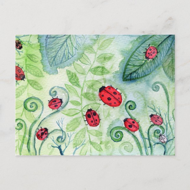 Carte Postale Ladybird (Devant)