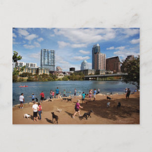 Carte Postale Ladybird Lake Dog Park Austin Texas Skyline