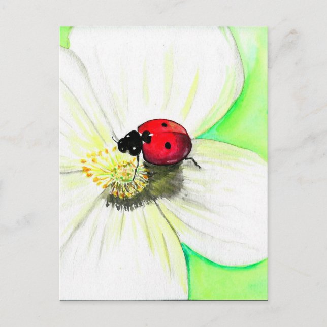 Carte Postale Ladybird sur une peinture à fleurs blanches (Devant)