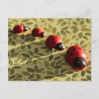Carte postale Ladybugs