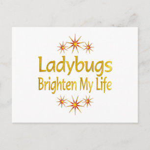 Carte Postale Ladybugs Éclairez Ma Vie