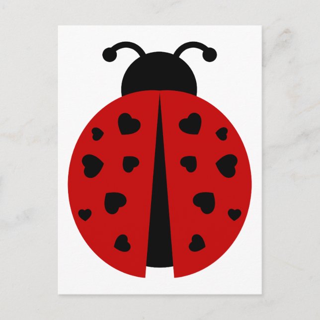 Carte Postale ladybugz. (Devant)