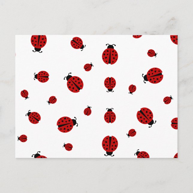 Carte Postale ladybugz. (Devant)