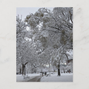 Carte Postale Lafayette Square, Washington, DC, chemin d'hiver