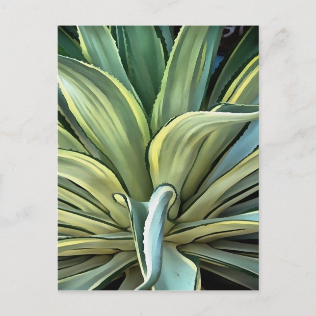 Carte Postale L'Agave Tropical Realism Art (Devant)