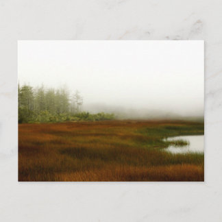 Carte Postale Lagune de Humboldt