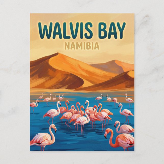 Carte Postale Lagune de Walvis Bay Namibie (Devant)
