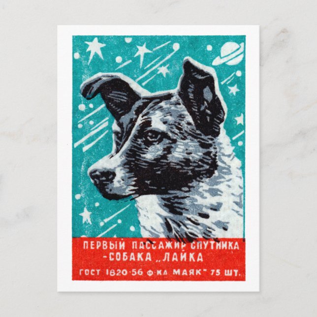 Carte Postale Laika 1957 le chien de l'espace (Devant)