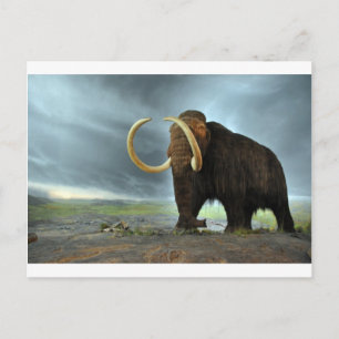 Carte Postale Laine Mammoth Mod Destiny