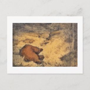 Carte Postale "Laisser Dormir Les Ours Mensonger"