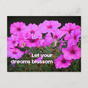 Carte Postale Laissez vos rêves s'épanouir