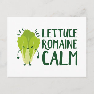 Carte Postale Laitue Romaine Calme