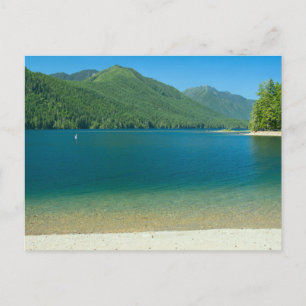 Carte Postale Lake Cushman Beach
