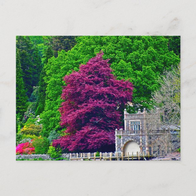 Carte Postale Lake District (Devant)