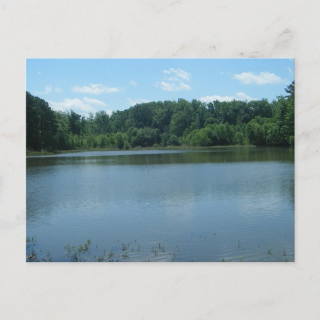 Carte Postale Lake Greenwood Cove (Devant)