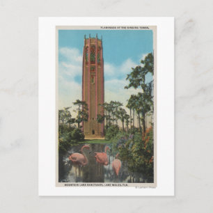 Carte Postale Lake Wales, FL - Vue de la chanson