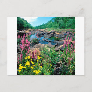 Carte Postale Lake Wisconsin River Réserve d'âge glaciaire Wisco