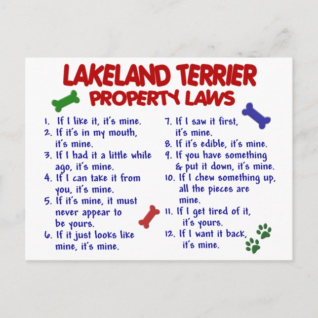 Carte Postale LAKELAND TERRIER Lois sur la propriété 2 (Devant)