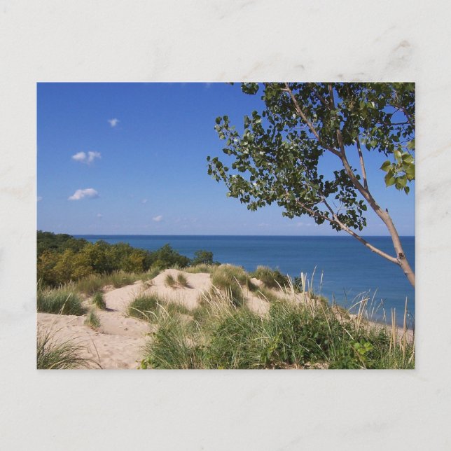 Carte Postale Lakeshore national des dunes de l'Indiana (Devant)