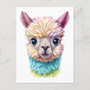 Carte Postale Lama de bébé coloré