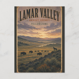 Carte Postale Lamar Valley Yellowstone Voyage Faune Vintage